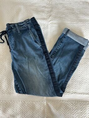 torrid Light Blue Denim Elastic Waist Joggers